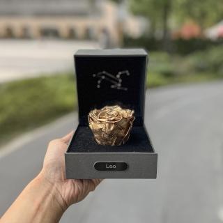 【Flower Plus】Leo獅子座 單層永生花星座禮盒(永生花)