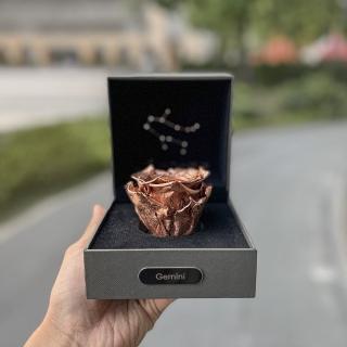 【Flower Plus】Gemini雙子座 單層永生花星座禮盒(永生花)
