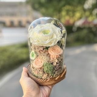 【Flower Plus】淡橘綠 永生花玻璃罩(永生花乾燥花)