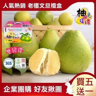 【禾鴻-中秋禮盒】柚見福緣正宗麻豆頂級50年老欉文旦禮盒5斤5-7顆x6盒(買5送1共6盒 企業團購送禮超划算)