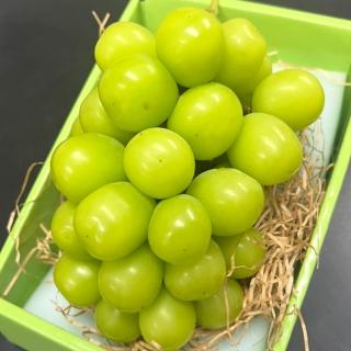 【RealShop 真食材本舖】最高等級日本岡山晴王麝香葡萄禮盒 單房入 約550-600g(高檔水果送禮精品 中秋禮盒)