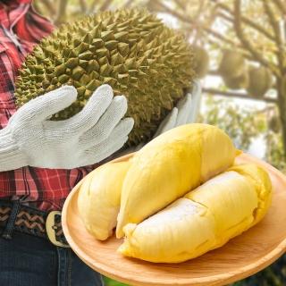 【金賞】泰國正宗特濃金枕頭榴槤3盒(350g/盒)