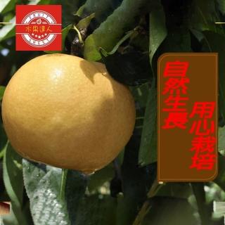 【MOMO獨家 水果達人-中秋禮盒】苗栗卓蘭巨無霸爆汁高接梨禮盒5-8顆*2箱(7.5斤±10%/箱)
