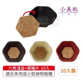 【小美紀】六角淺盆+六角椰纖片-10入裝(6寸盆 花盆 園藝花器 室內花盆 椰纖片 多肉植物 小花盆)