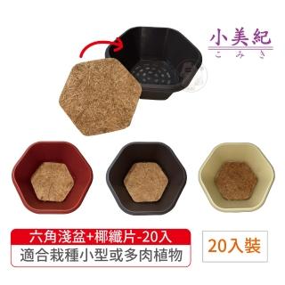 【小美紀】六角淺盆+六角椰纖片-20入裝(6寸盆 多肉花盆 園藝花器 室內花盆 椰纖片 多肉植物 小花盆)