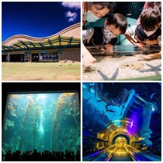 【屏東海洋生物博物館】(海生館門票2張)