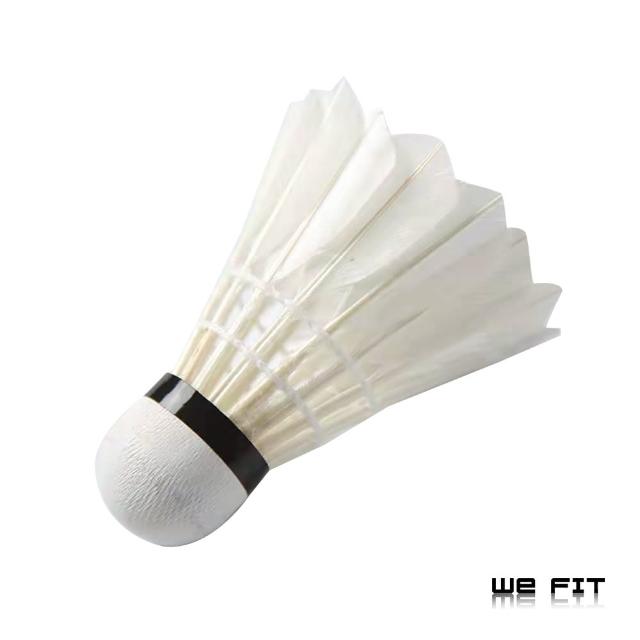 【WE FIT】鵝毛複合軟木球頭羽毛球6入(SG154)
