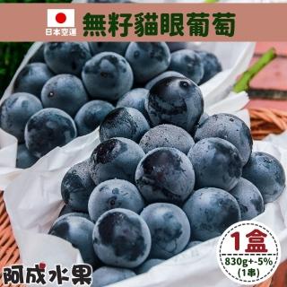 【阿成水果-中秋禮盒】日本空運無籽貓眼葡萄1串(830g/盒)