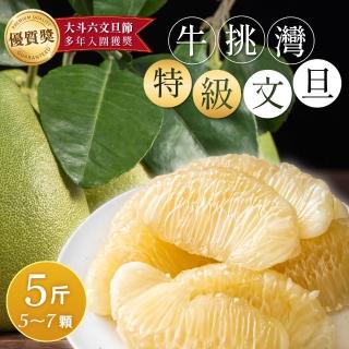 【家購網嚴選-中秋禮盒】雲林良品 斗六牛挑灣特級文旦5斤x4盒(5-7顆/盒)