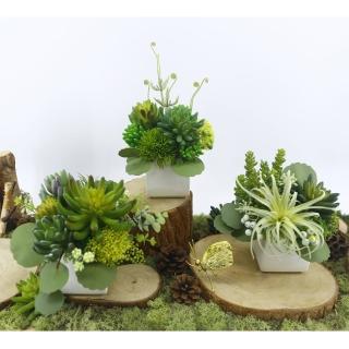 【HUGO DECO 榆果傢飾】精緻多肉系列香氛植栽(擬真植栽/香氛/多肉/盆栽/送禮)