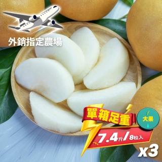 【果樹寶石-中秋禮盒】卓蘭最高鑑賞新興水梨大果三箱 單箱7.4斤(外銷指定農場 媲美日本水梨)
