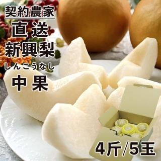 【日本契約農家直送-中秋禮盒】鳥取縣日本梨穗新興水梨中果4斤5顆單盒(優質梨穗才能培育出特秀水梨)