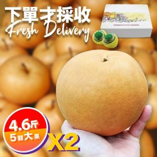 【下單才採最新鮮-中秋禮盒】卓蘭秀品新興水梨大果4.6斤5顆入X2(黃金時間採收 風味更獨特)