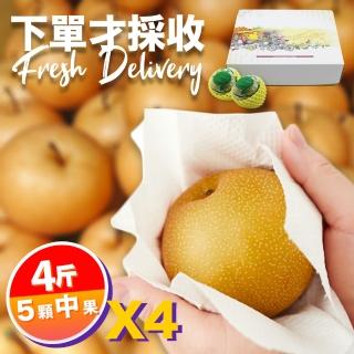 【下單才採最新鮮-中秋禮盒】卓蘭秀品新興水梨中果4斤5顆入X4(黃金時間採收 風味更獨特)