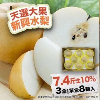 【農村梨小農-中秋禮盒】日本種新興水梨大果7.4斤8顆3盒(優選十大小農 水梨界黑馬)