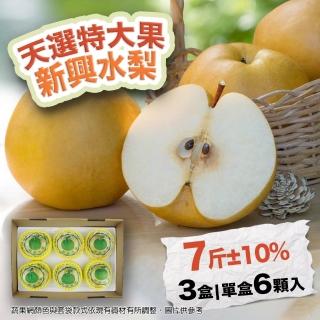 【農村梨小農-中秋禮盒】日本種新興水梨特大果7斤6顆3盒(優選十大小農 水梨界黑馬)