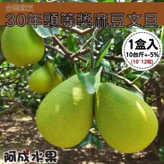 【阿成水果-中秋禮盒】30年頭等獎麻豆文旦(10-12粒/10台斤/盒)