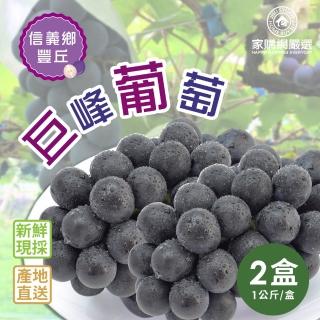 【家購網嚴選-中秋禮盒】信義豐丘溫室巨峰葡萄(4斤x2盒)