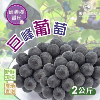 【家購網嚴選-中秋禮盒】信義豐丘溫室巨峰葡萄(4斤x4盒)