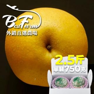 【果樹寶石-中秋禮盒】卓蘭最高鑑賞新興水梨五箱 單箱2.5斤2顆入(外銷指定農場 媲美日本水梨)