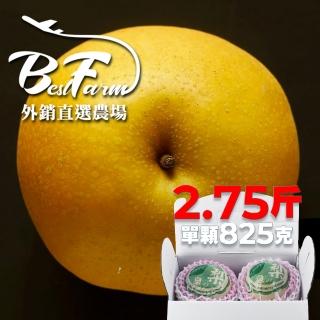 【果樹寶石-中秋禮盒】卓蘭最高鑑賞新興水梨三箱 單箱2.75斤2顆入(外銷指定農場 媲美日本水梨)