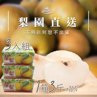 【梨園直送-中秋禮盒】職人栽培寶島霸王級新興水梨單箱3斤2顆裝共三箱(不夠新鮮不出貨)