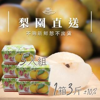 【梨園直送-中秋禮盒】職人栽培寶島霸王級新興水梨單箱3斤2顆裝共五箱(不夠新鮮不出貨)