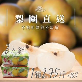 【梨園直送-中秋禮盒】職人栽培寶島天王級新興水梨1箱2.75斤2顆裝共兩箱(不夠新鮮不出貨)
