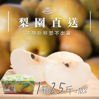 【梨園直送-中秋禮盒】職人栽培寶島大王級新興水梨1箱2.5斤2顆裝(不夠新鮮不出貨)