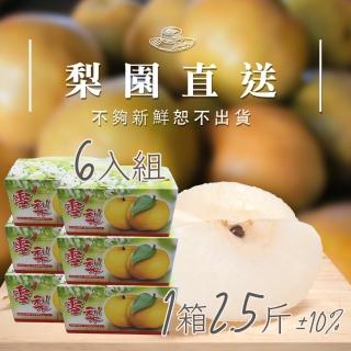 【梨園直送-中秋禮盒】職人栽培寶島大王級新興水梨1箱2.5斤2顆裝共六箱(不夠新鮮不出貨)