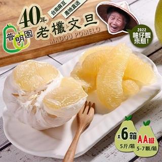 【普明園】麻豆文旦-40年AA級老欉文旦禮盒-5斤x6箱(約5-7顆/箱;8/10起依序出貨)