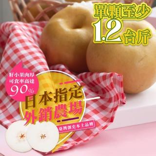 【果樹寶石】卓蘭最高鑑賞寶島甘露水梨大果一箱至少7.5斤共6顆(外銷指定農場 巨脆雪藏甘甜)