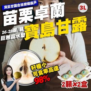 【果樹寶石】卓蘭最高鑑賞寶島甘露水梨大果四箱 單箱至少2.5斤2顆入(外銷指定農場 巨脆雪藏甘甜)