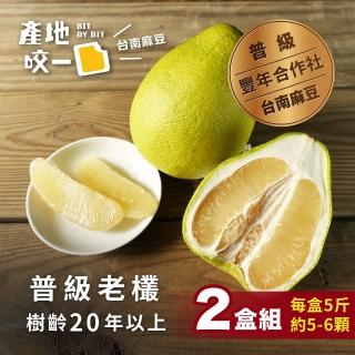 【BitByBit產地咬一口】產銷履歷認證臺南麻豆20年鮮奶文旦2盒(5斤 每盒約5顆 中秋柚子)