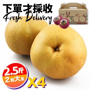 【下單才採最新鮮】卓蘭秀品寶島甘露大顆水梨2.5斤2顆入X4(黃金時間採收 風味更獨特)