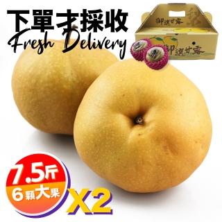 【下單才採最新鮮】卓蘭秀品寶島甘露大顆水梨7.5斤6顆入X2(黃金時間採收 風味更獨特)