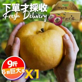 【下單才採最新鮮】卓蘭秀品寶島甘露巨大顆水梨9斤6顆入(黃金時間採收 風味更獨特)