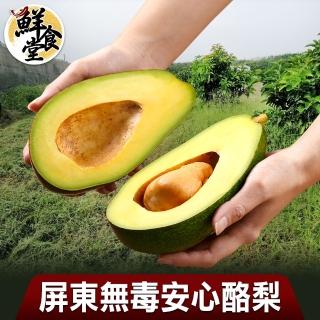 【鮮食堂】屏東無毒安心酪梨1箱(4台斤±5%/箱/約5-7顆裝)