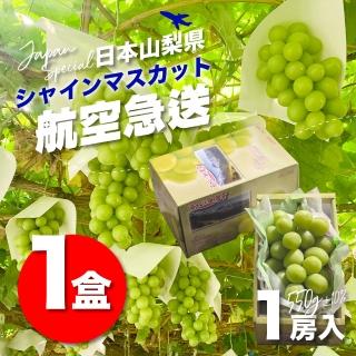 【果樹寶石】日本山梨縣相撲級麝香葡萄7~8大房5公斤原裝箱(航空急送 富士山北側御選果園)