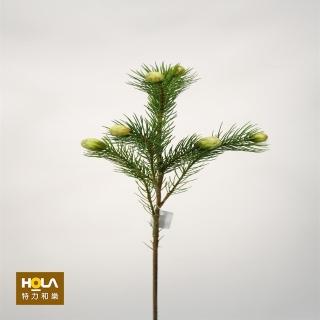 【HOLA】綠漾 娜娜公主-白綠