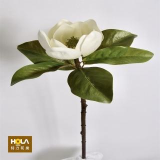 【HOLA】綠漾 白碗花-白