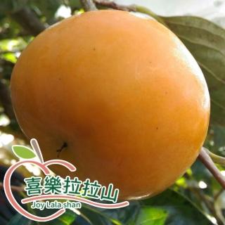 【黑貓嚴選】喜樂拉拉山-甜柿(6粒/2斤8兩/約1.5kg/盒)