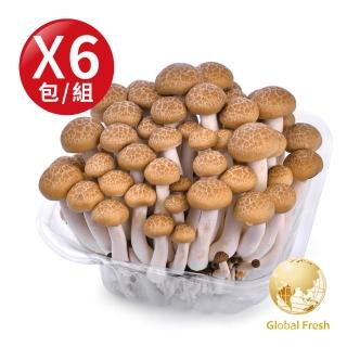 【Global Fresh 盛花園】蟹香風味口感細緻-鴻喜菇(150g/包 6包/組)