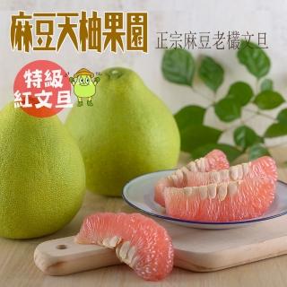 【麻豆天柚果園】預購-特級紅文旦10斤裝X2箱 5-6個/箱(中秋 文旦 送禮)