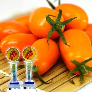 【農頭家】美濃得獎橙蜜香小番茄4盒裝x1箱(得獎農園/頂級薄皮/春節禮盒)