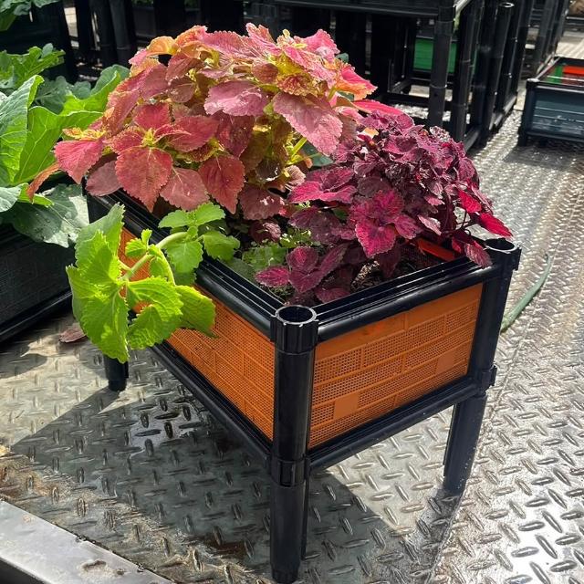 【田園樂】育材單層架高一節種植箱(45*30*32cm)(組合式種植箱種菜箱/籃耕離地栽培/2入一組)