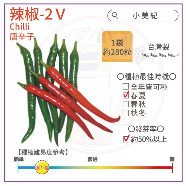 【小美紀】高優質 種子(香菜 辣椒 北蒽 紅骨九層塔 空心菜 南瓜 大陸妹 蔬菜 盆栽 種子)