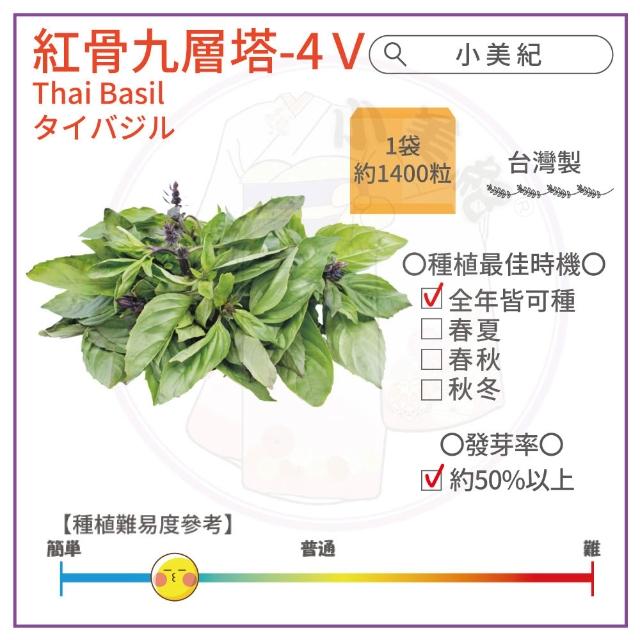【小美紀】高優質 種子(香菜 辣椒 北蒽 紅骨九層塔 空心菜 南瓜 大陸妹 蔬菜 盆栽 種子)