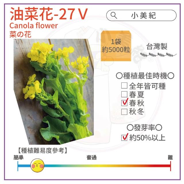 【小美紀】高優質 種子(香菜 辣椒 北蒽 紅骨九層塔 空心菜 南瓜 大陸妹 蔬菜 盆栽 種子)