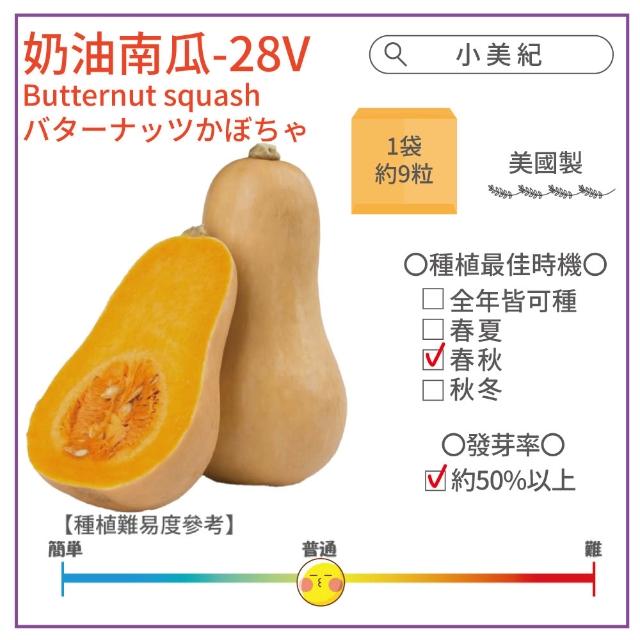 【小美紀】高優質 種子(香菜 辣椒 北蒽 紅骨九層塔 空心菜 南瓜 大陸妹 蔬菜 盆栽 種子)